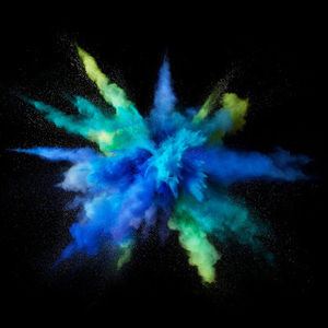 Meet your Posher, Alan